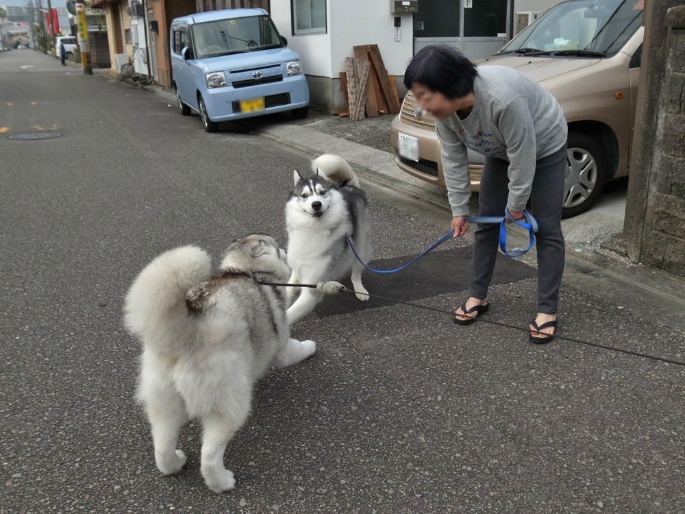 ラブラブショー♡　(^o^)_c0049299_2232632.jpg