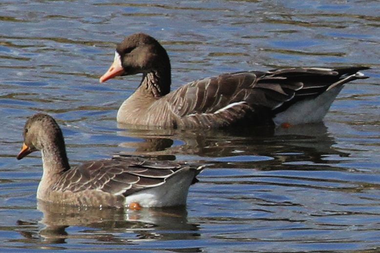 c0360399_8463675.jpg