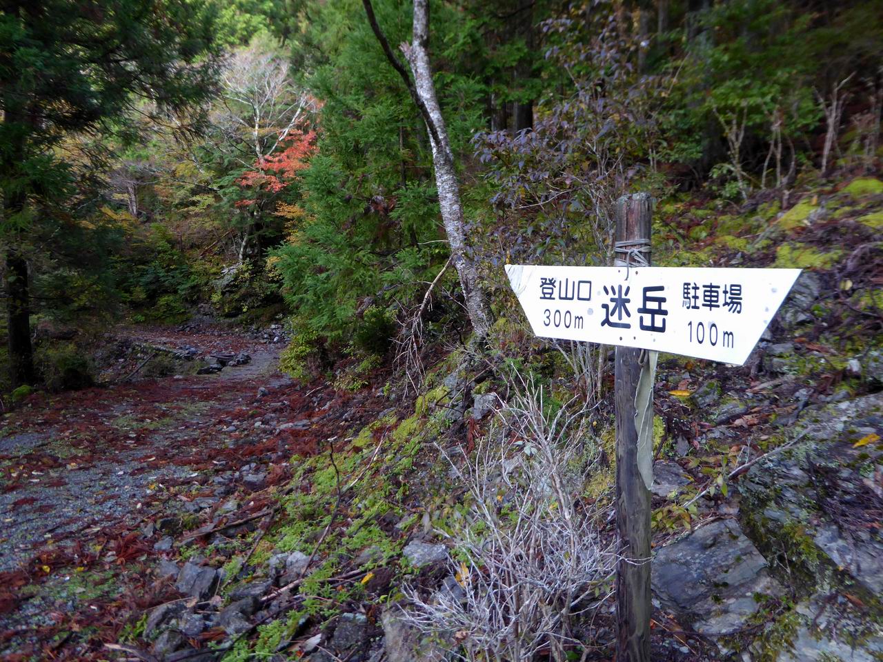 大熊三山を駆け抜けろ－迷岳・白倉山・古ヶ丸山_e0110500_1714970.jpg