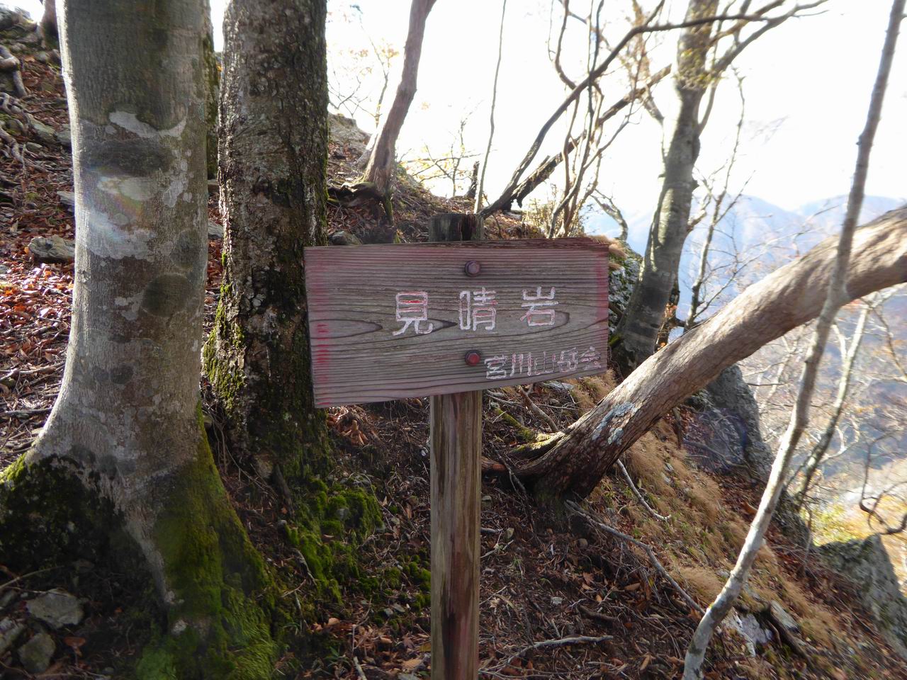 大熊三山を駆け抜けろ－迷岳・白倉山・古ヶ丸山_e0110500_17165735.jpg