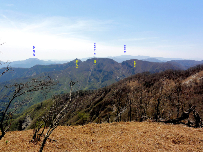 大熊三山を駆け抜けろ－迷岳・白倉山・古ヶ丸山_e0110500_17231872.jpg