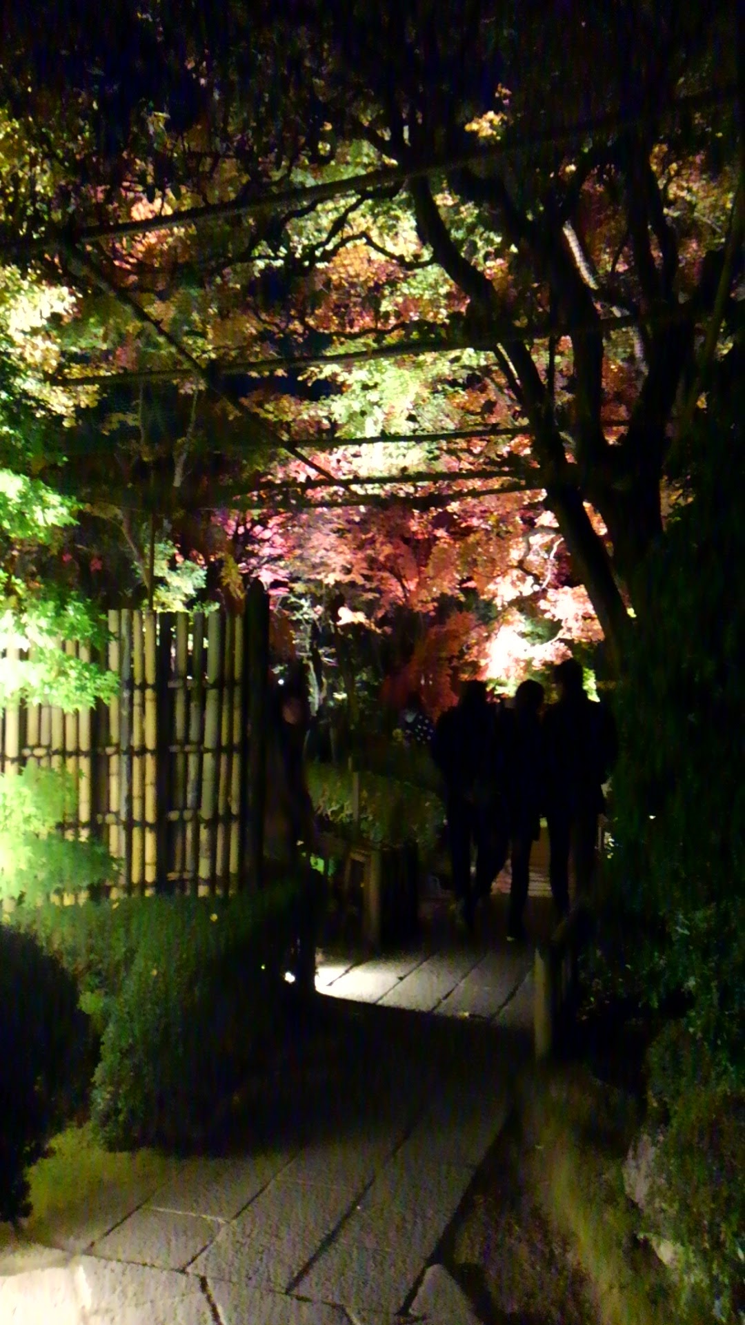 a0224502_10492549.jpg