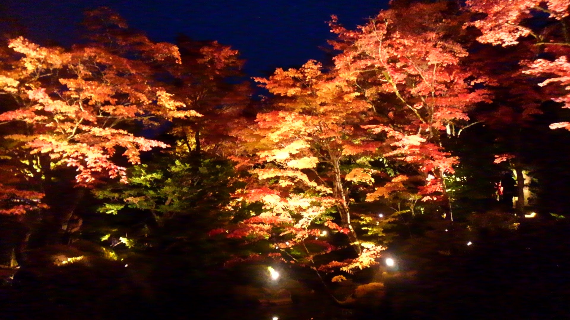 a0224502_1051301.jpg