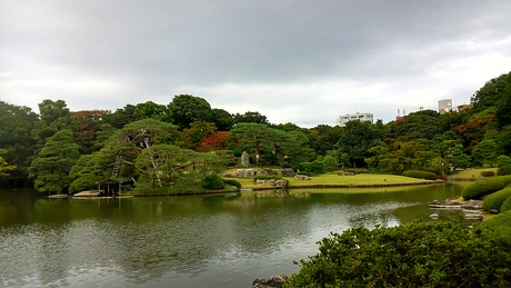 2015年11月初旬　六義園_a0224502_19461428.jpg