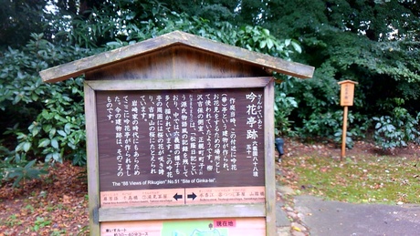 2015年11月初旬　六義園_a0224502_1954711.jpg