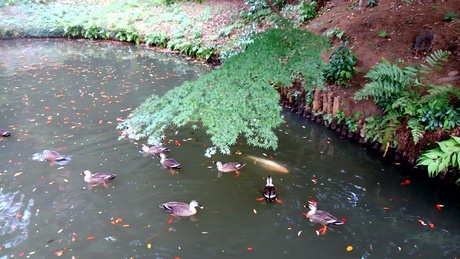 a0224502_2055667.jpg