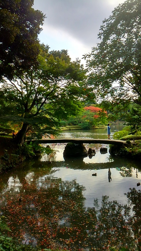 2015年11月初旬　六義園_a0224502_2064540.jpg