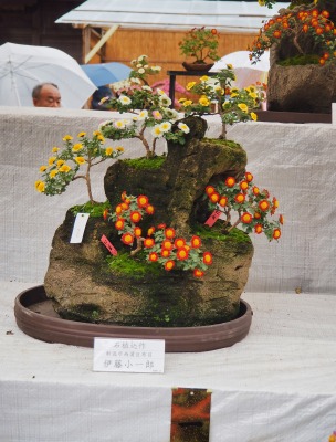 雪囲いをサボって弥彦へ_c0336902_2105275.jpg