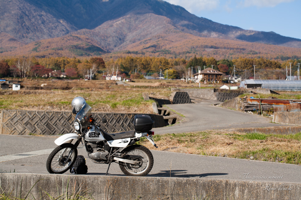 八ヶ岳の秋満喫の日々_c0137403_1754144.jpg