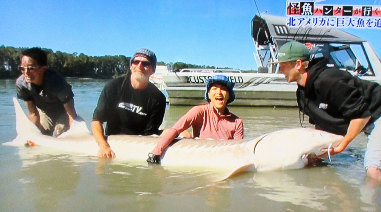 ザ プレミアム 怪魚ハンターが行く 北米大陸 ３メートルの巨大魚を追う くろかわ元理事長ぶらぶらブログ