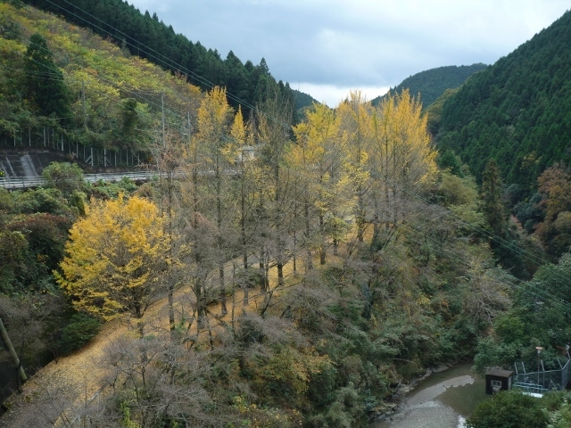 e0350905_20221641.jpg