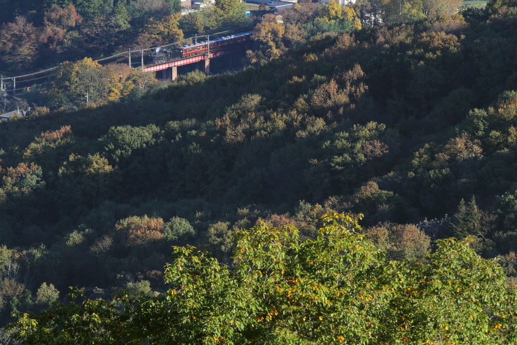 荒川橋梁秋景色 - 2015年紅葉・秩父 - _b0190710_20465493.jpg