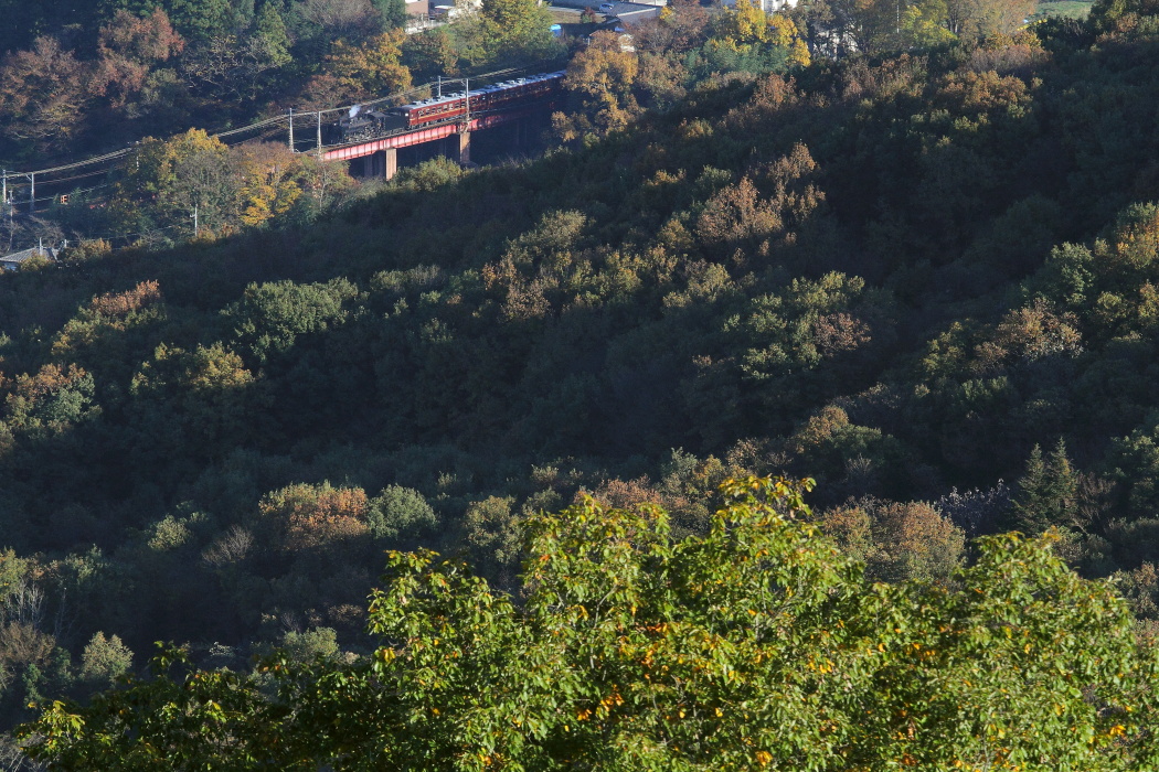 荒川橋梁秋景色　- 2015年紅葉・秩父 -  _b0190710_20465493.jpg