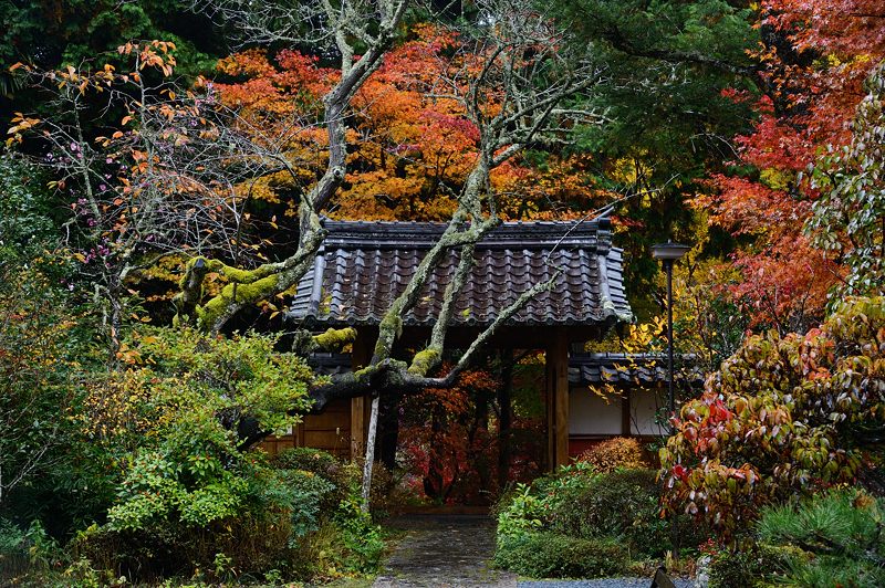 2015京都の紅葉・亀岡　神蔵寺_f0032011_172758.jpg