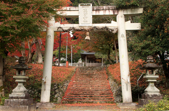 紅葉だより13 熊野神社と茅葺きの里_e0048413_18111789.jpg