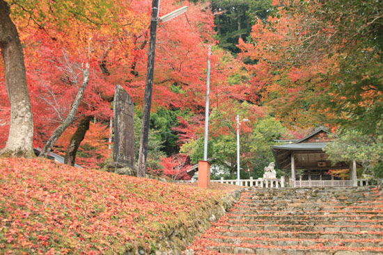 紅葉だより13 熊野神社と茅葺きの里_e0048413_18113322.jpg