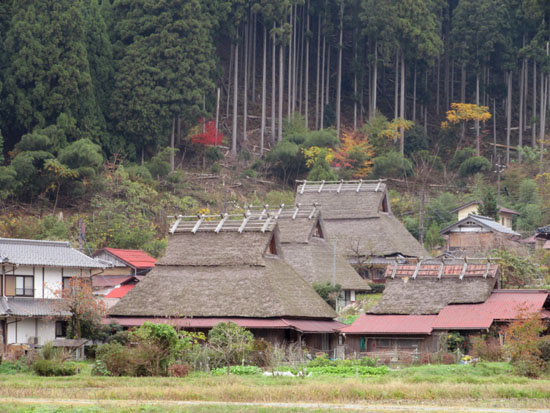紅葉だより13 熊野神社と茅葺きの里_e0048413_18121224.jpg