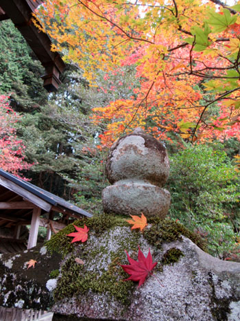 紅葉だより13 熊野神社と茅葺きの里_e0048413_1812191.jpg