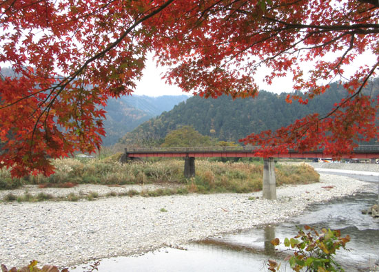 紅葉だより13　熊野神社と茅葺きの里_e0048413_18125337.jpg