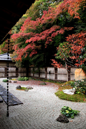 紅葉だより14 南禅寺本坊_e0048413_18564014.jpg