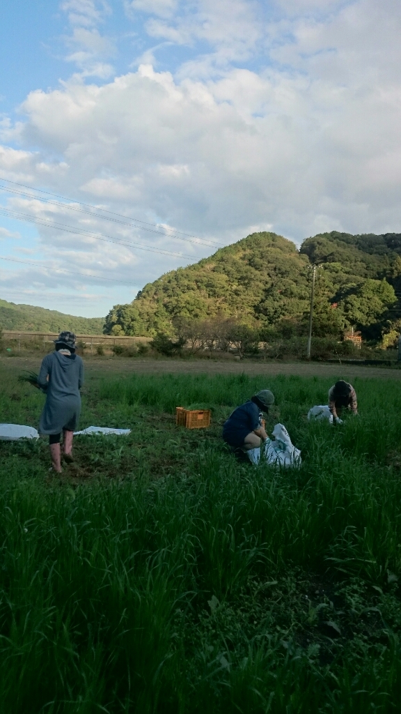 久しぶりの晴天_b0187620_20282408.jpg