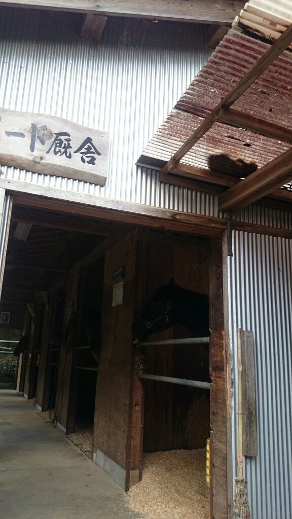 b0187620_20284521.jpg