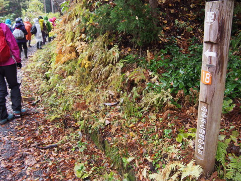 中野もみじ山と里山歩き(黒石市)*2015.11.08_b0147224_22564833.jpg
