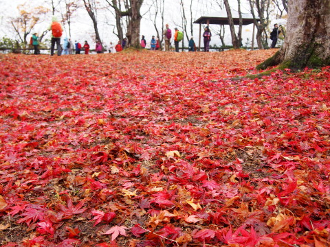 中野もみじ山と里山歩き(黒石市)*2015.11.08_b0147224_2256645.jpg