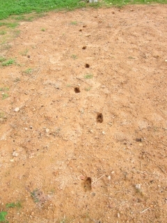 d0336530_20544569.jpg