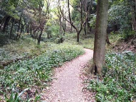 四季の森公園（３）　学校を参観する散歩道とランチ_b0330040_11544154.jpg
