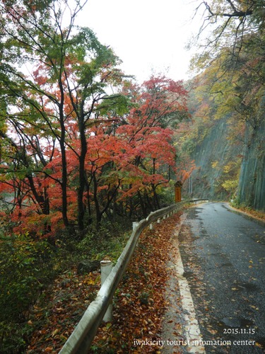 夏井川渓谷の紅葉状況　［平成27年11月15日（日）更新］_f0105342_11553253.jpg