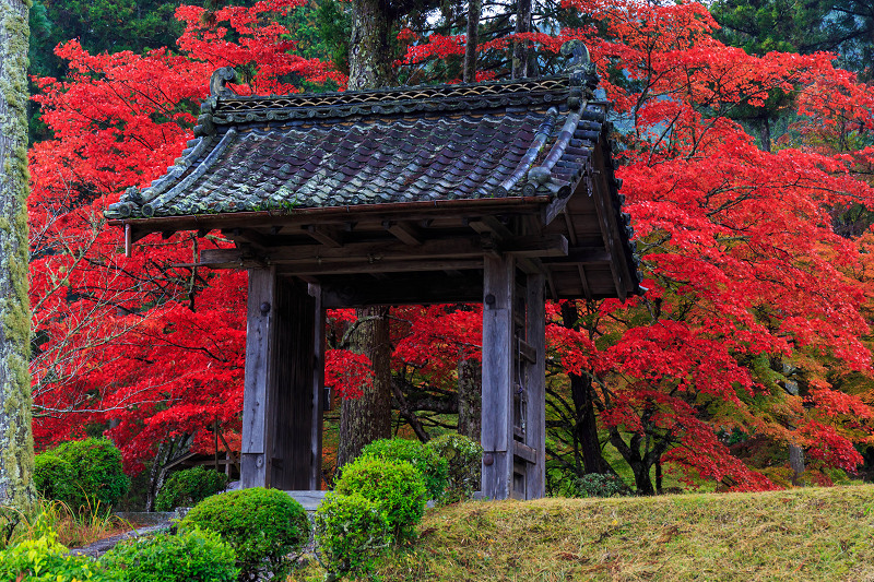 京都の紅葉2015・真っ赤な秋（龍穏寺・前編）_f0155048_16304481.jpg