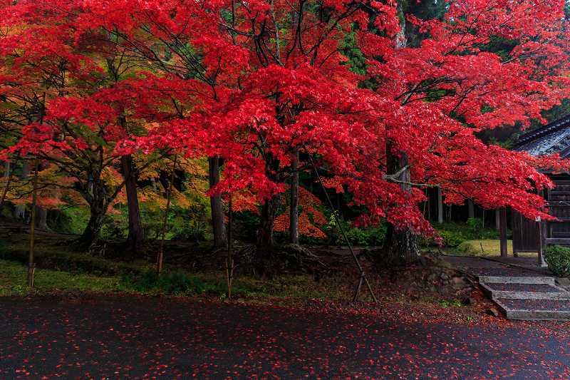 京都の紅葉2015・真っ赤な秋（龍穏寺・前編）_f0155048_16352258.jpg