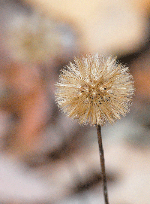 a0001354_22553390.gif