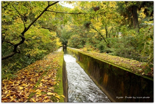 上から見た水路橋_b0328557_20575274.jpg