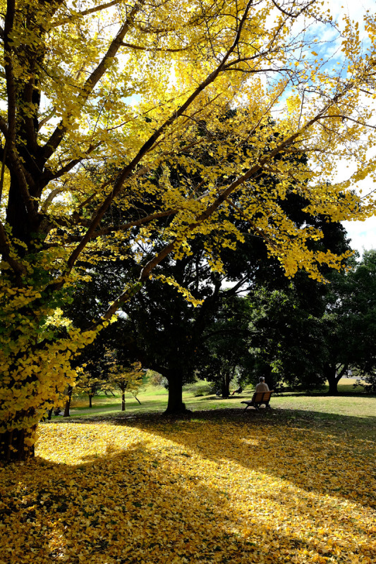 c0084666_21003263.jpg