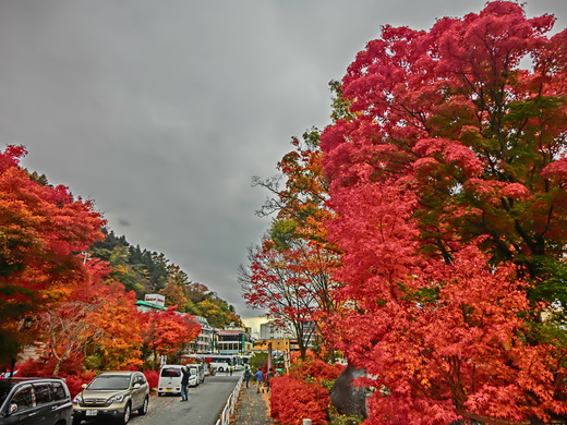 河口湖畔の紅葉_c0006772_2050763.jpg