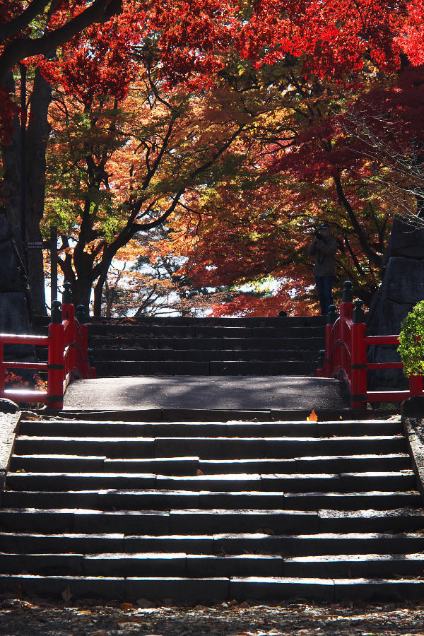 盛岡城跡公園の紅葉_e0282173_19321540.jpg