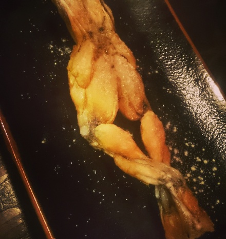 カエルの・・・_f0172281_5291515.jpg