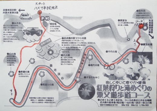 １１月１２日 養老渓谷滝めぐり粟又遊歩道の下見 のん木草 みどり見て歩き