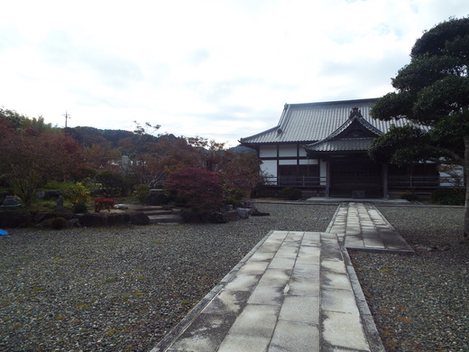 １１月１２日　養老渓谷滝めぐり粟又遊歩道の下見　_e0145782_15234265.jpg