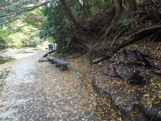 １１月１２日　養老渓谷滝めぐり粟又遊歩道の下見　_e0145782_153649100.jpg