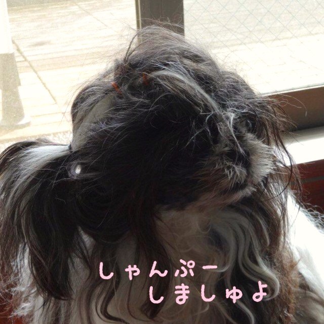 d0343687_22295158.jpg