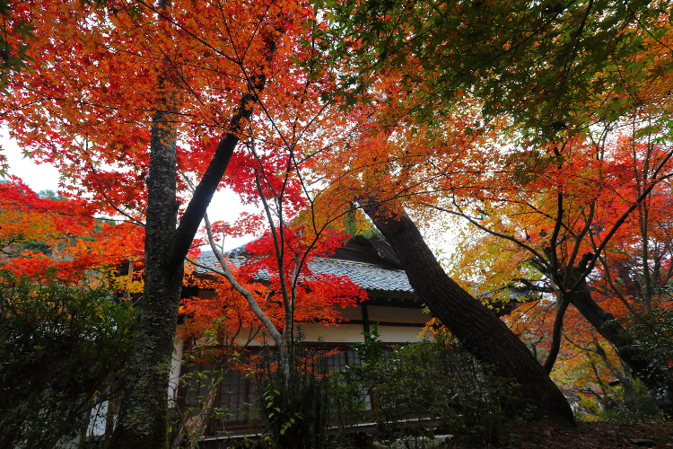 神蔵寺_e0051888_2381239.jpg