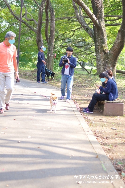 生き物にサンキュー撮影裏話２_a0126590_11424365.jpg