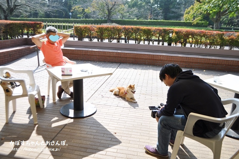 生き物にサンキュー撮影裏話２_a0126590_11431630.jpg