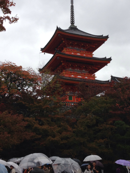 京都の紅葉_e0303991_10352579.jpg