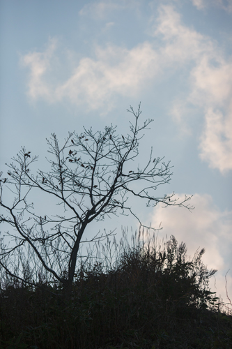 f0003598_18285177.jpg