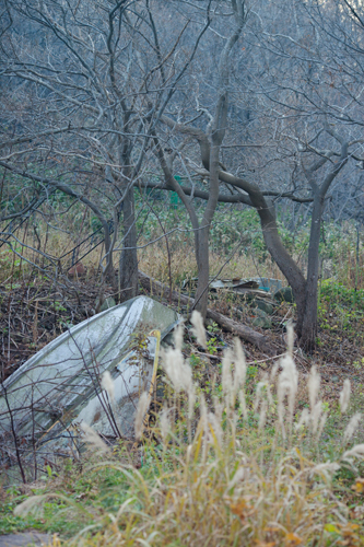 f0003598_182856100.jpg