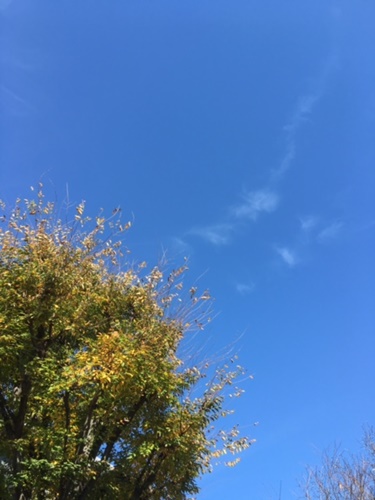 a0123003_2352914.jpg